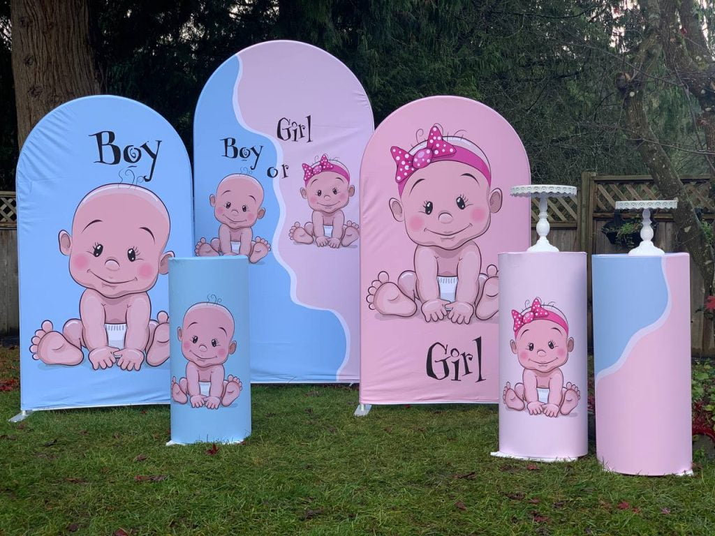 Gender Reveal Arch Frame Backdrop / Photo Backdrop