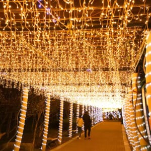 Warm White LED Connectable Ice Bar Fairy Lights
