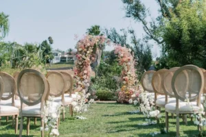 Chair Rentals ideas For Backyard Party
