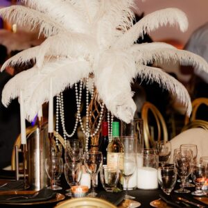 White Ostrich Feathers (Assorted)